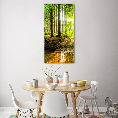 Tableau sur verre acrylique Soleil dans la forêt