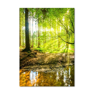 Tableau sur verre acrylique Soleil dans la forêt