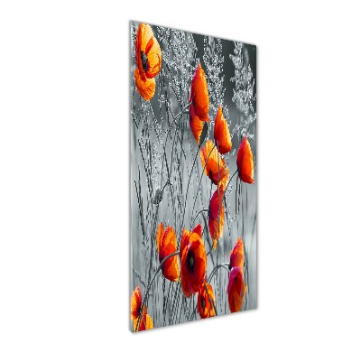 Tableau verre acrylique Fleurs de coquelicots rouges