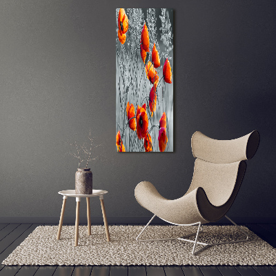 Tableau verre acrylique Fleurs de coquelicots rouges