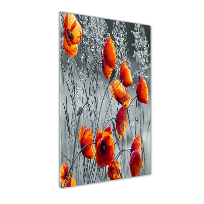 Tableau verre acrylique Fleurs de coquelicots rouges