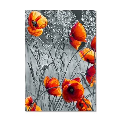 Tableau verre acrylique Fleurs de coquelicots rouges