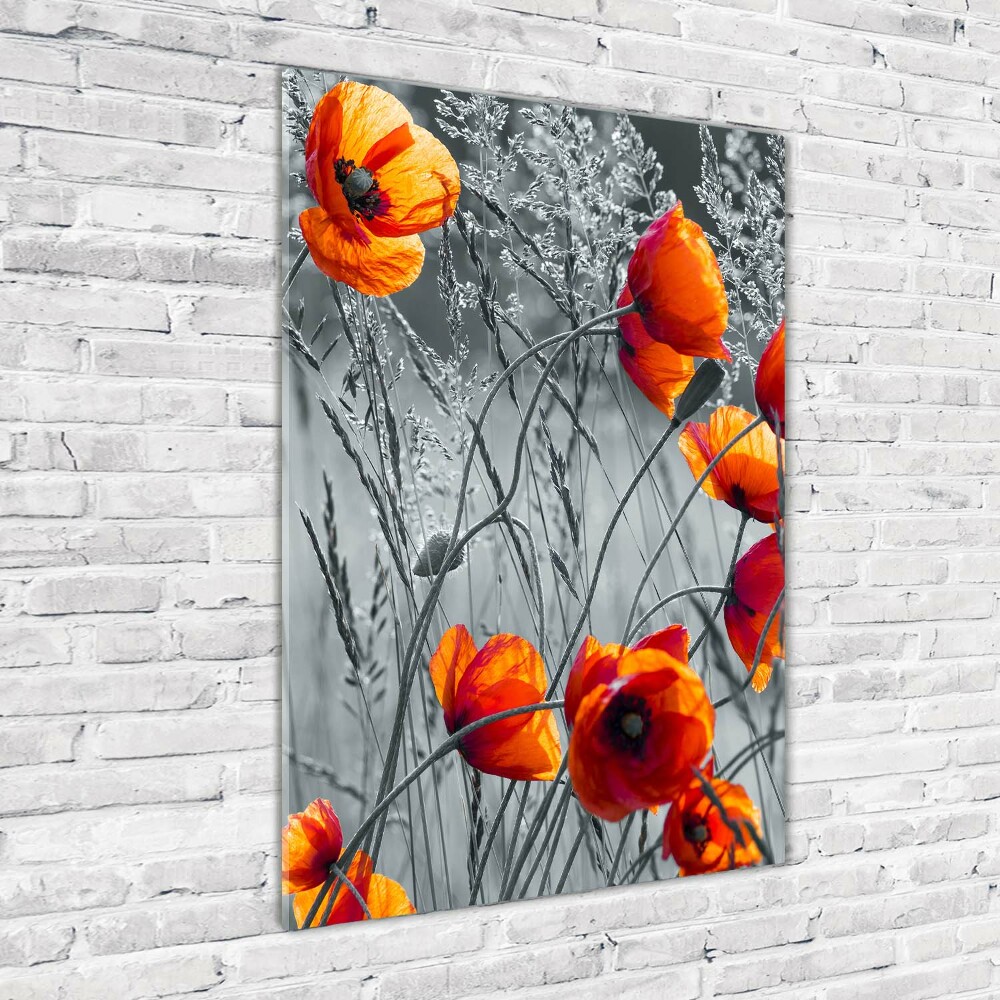 Tableau verre acrylique Fleurs de coquelicots rouges