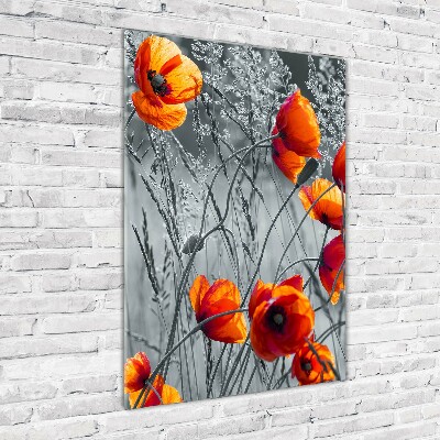 Tableau verre acrylique Fleurs de coquelicots rouges