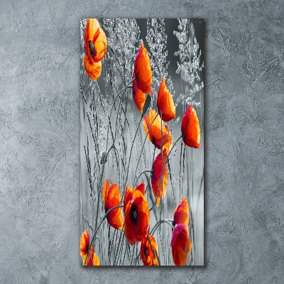 Tableau verre acrylique Fleurs de coquelicots rouges