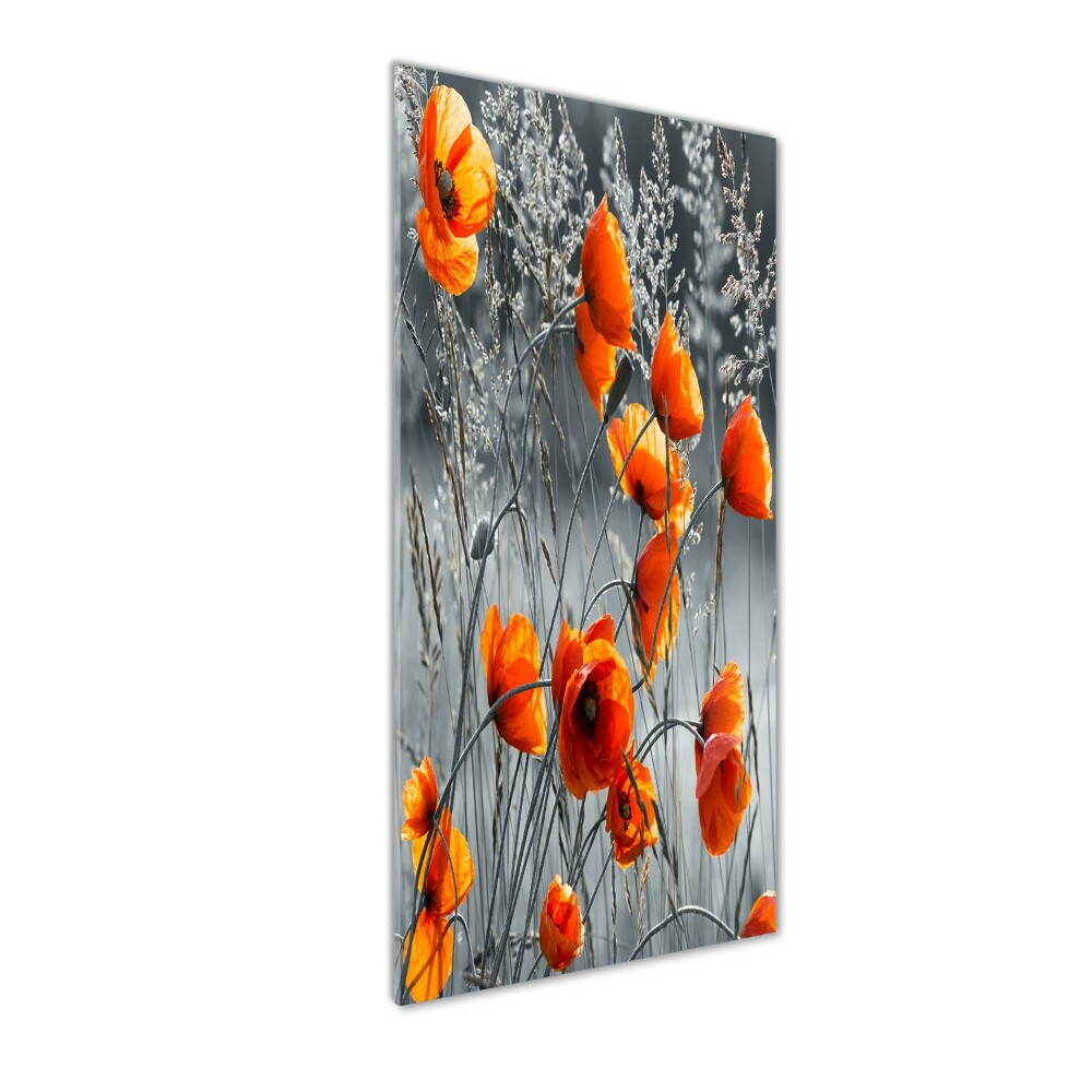 Tableau sur verre acrylique Coquelicots des champs