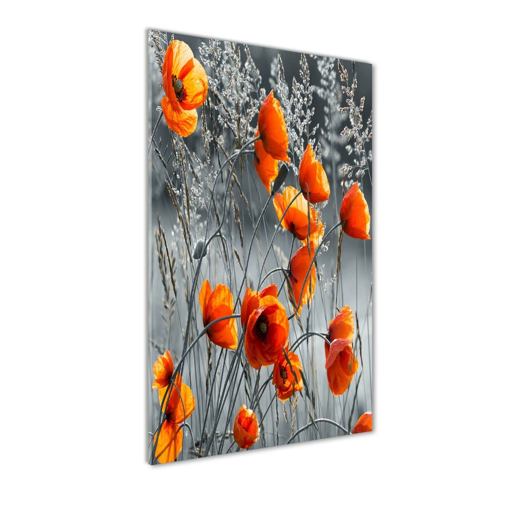 Tableau sur verre acrylique Coquelicots des champs