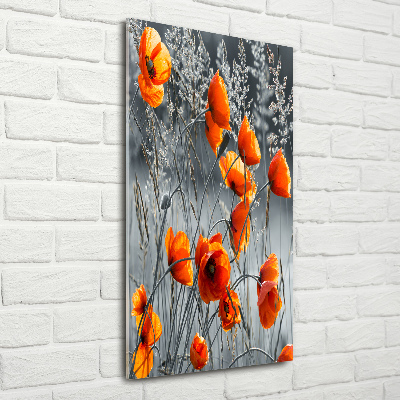 Tableau sur verre acrylique Coquelicots des champs