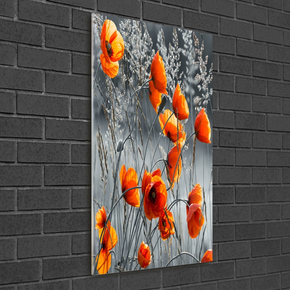 Tableau sur verre acrylique Coquelicots des champs