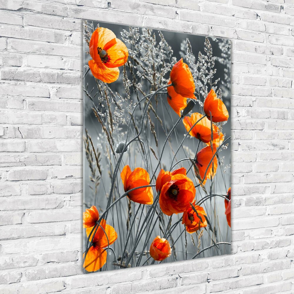 Tableau sur verre acrylique Coquelicots des champs