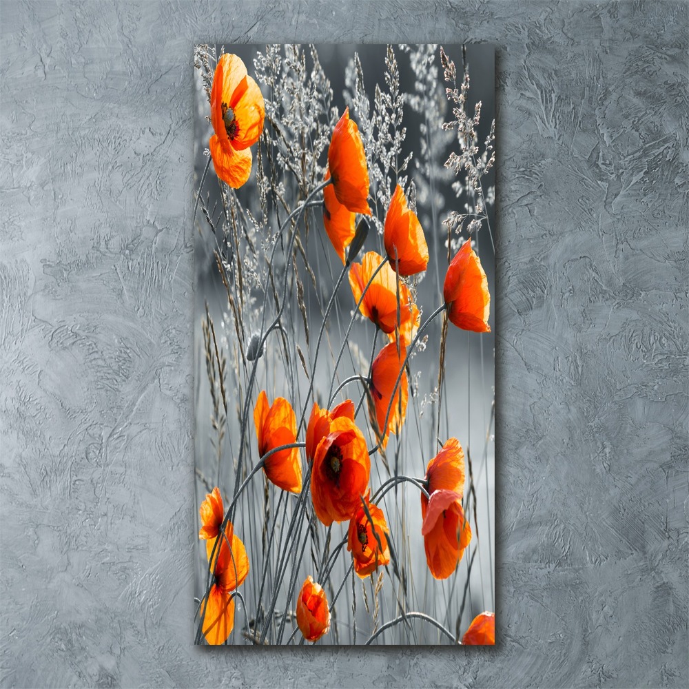 Tableau sur verre acrylique Coquelicots des champs