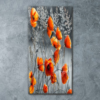 Tableau sur verre acrylique Coquelicots des champs