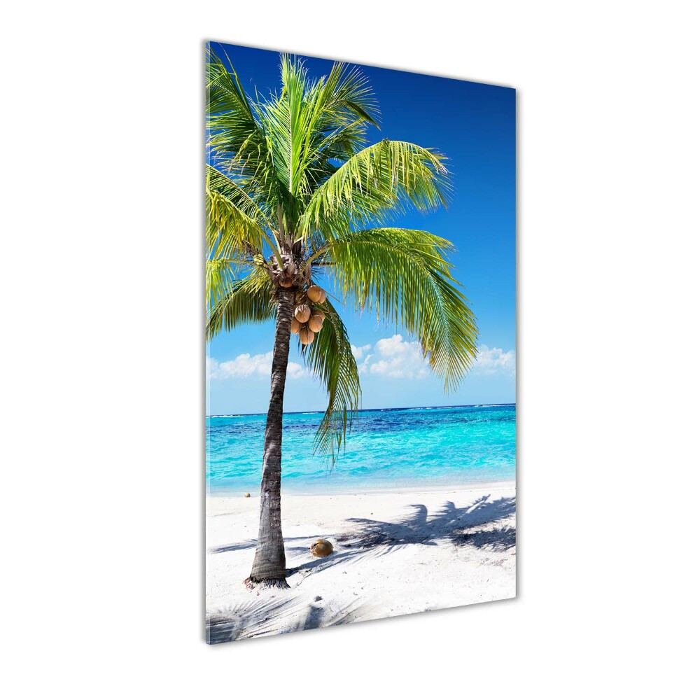 Tableau acrylique Plage exotique