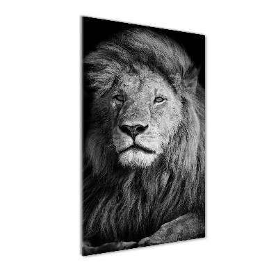 Acrylique tableau Portrait d'un lion