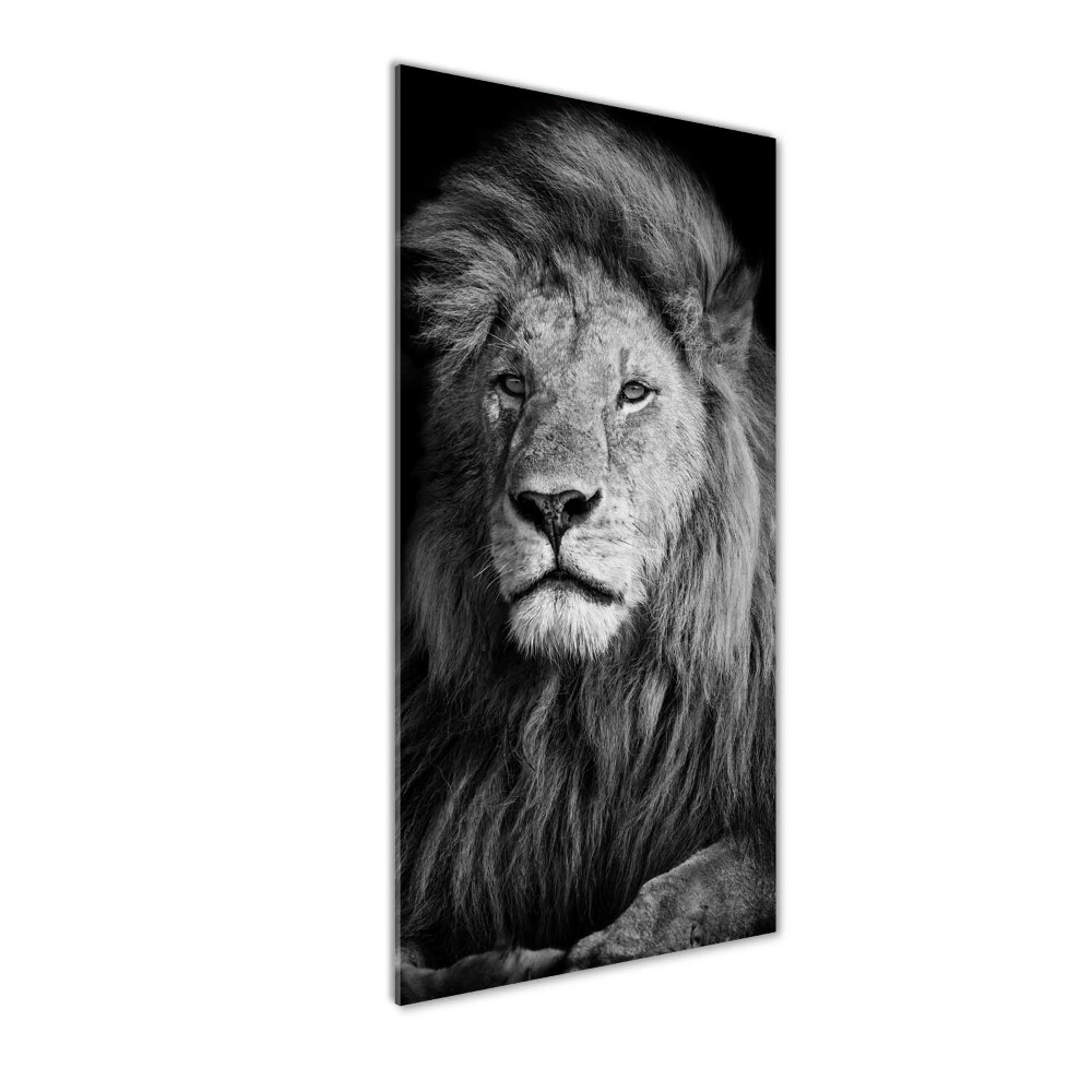 Acrylique tableau Portrait d'un lion