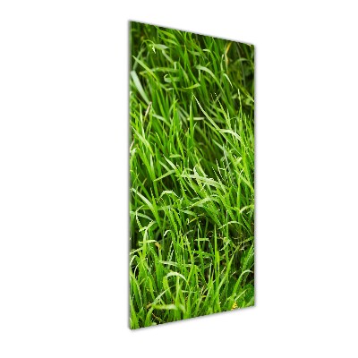 Tableau verre acrylique L'herbe