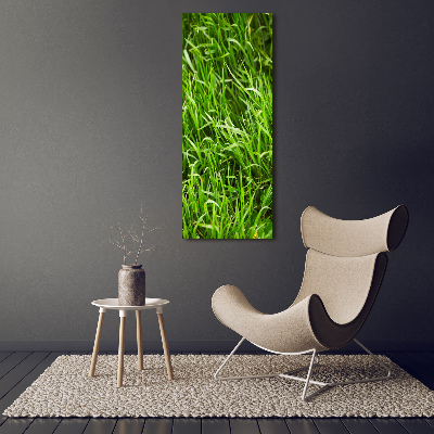 Tableau verre acrylique L'herbe