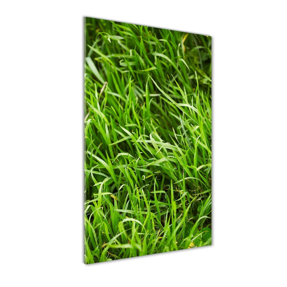 Tableau verre acrylique L'herbe