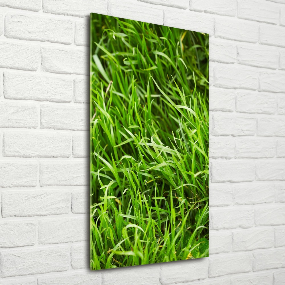 Tableau verre acrylique L'herbe