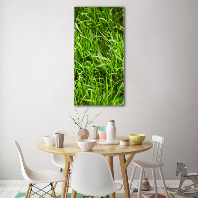 Tableau verre acrylique L'herbe