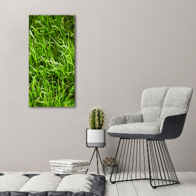 Tableau verre acrylique L'herbe