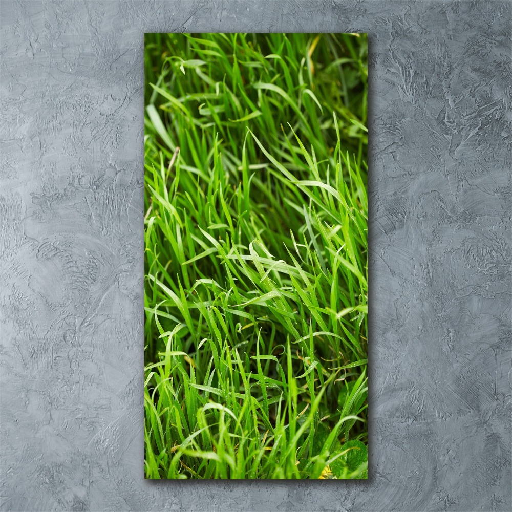 Tableau verre acrylique L'herbe