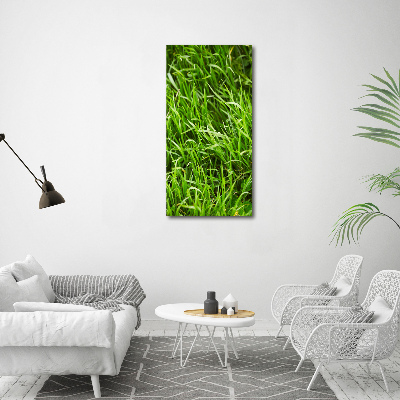 Tableau verre acrylique L'herbe