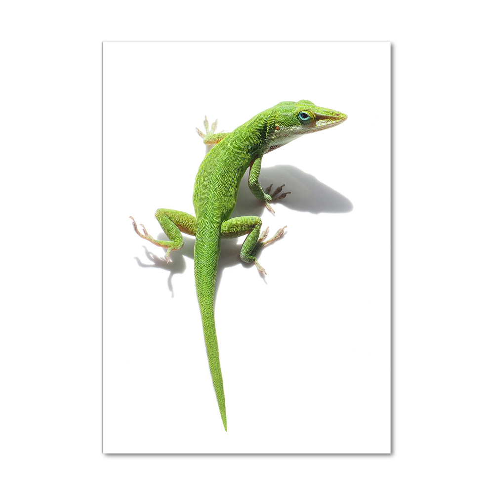 Tableau acrylique Lézard vert