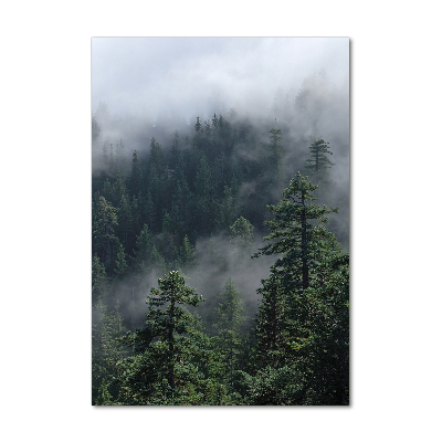 Acrylique tableau Brouillard dans la forêt