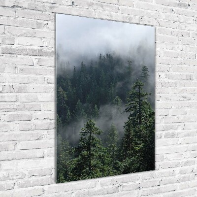 Acrylique tableau Brouillard dans la forêt