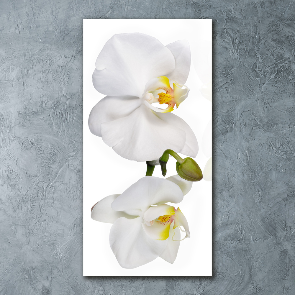 Tableau sur verre acrylique Orchidée blanche