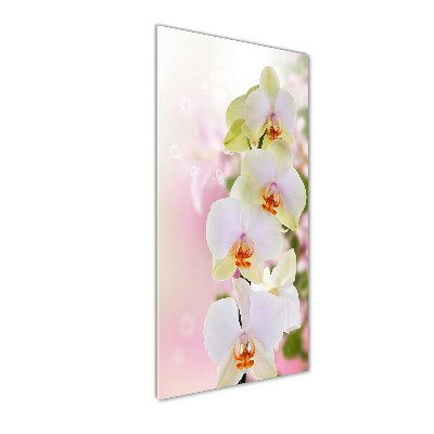 Tableau verre acrylique Orchidée blanche