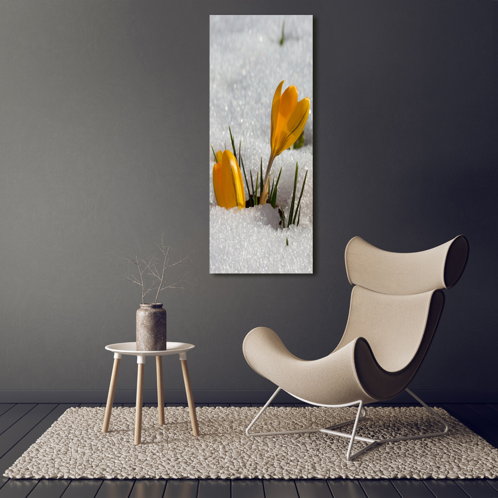 Tableau en acrylique Crocus jaunes