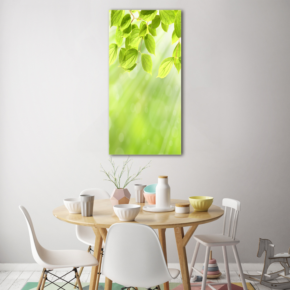 Tableau sur verre acrylique Feuilles vertes