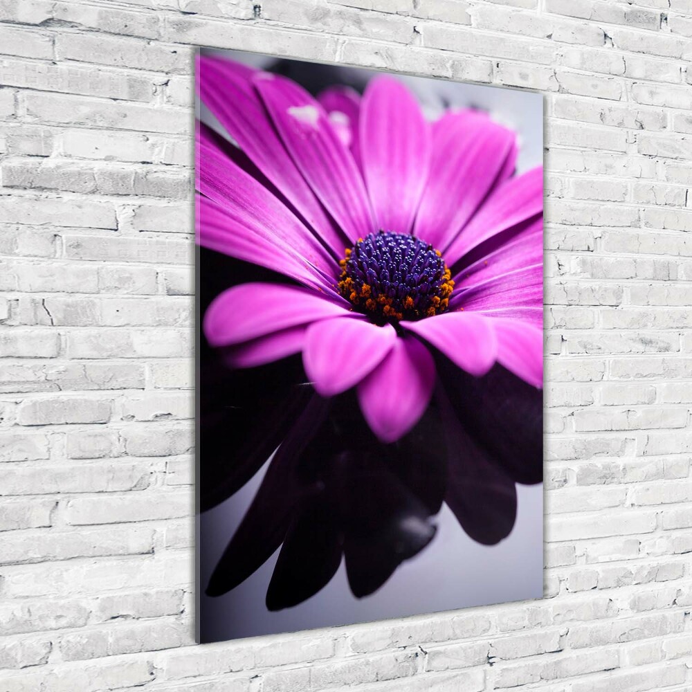 Tableau acrylique Gerbera rose