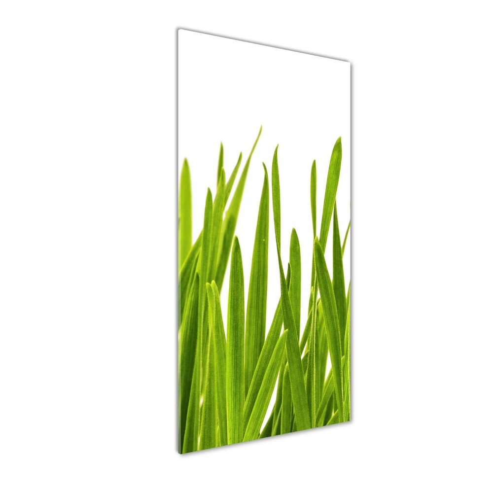 Tableau verre acrylique Herbe verte