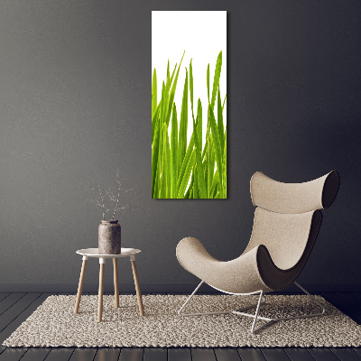 Tableau verre acrylique Herbe verte