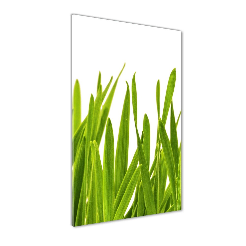 Tableau verre acrylique Herbe verte