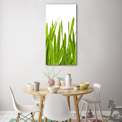 Tableau verre acrylique Herbe verte