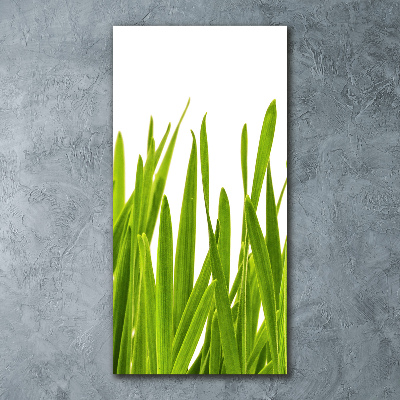 Tableau verre acrylique Herbe verte