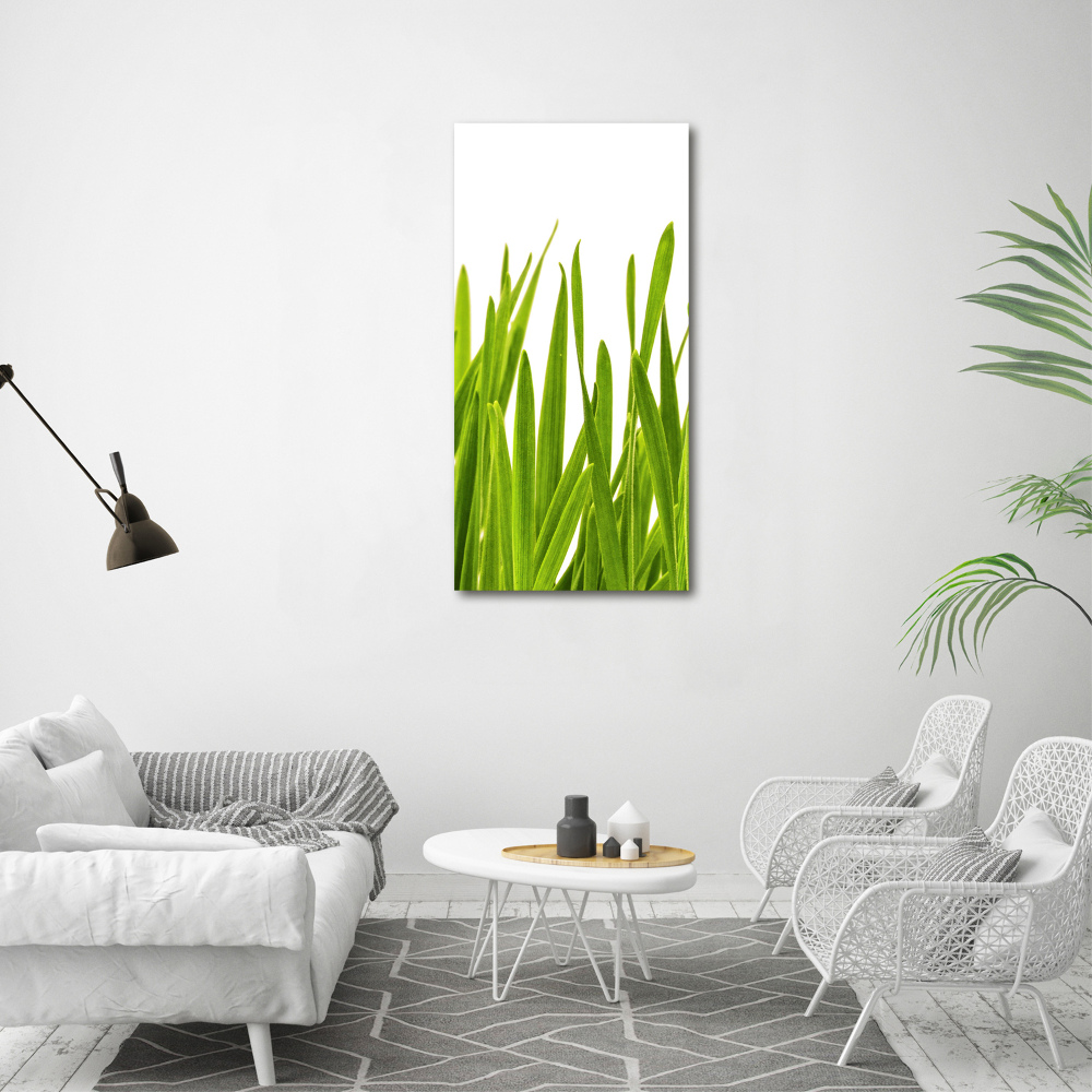 Tableau verre acrylique Herbe verte