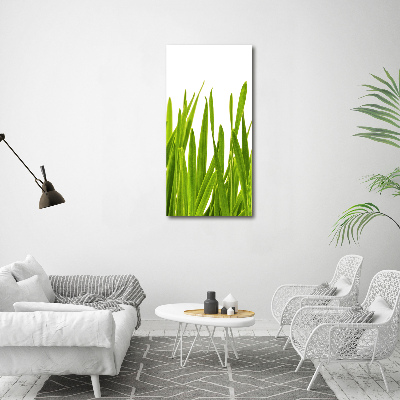 Tableau verre acrylique Herbe verte