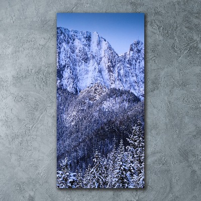 Tableau verre acrylique Monts Tatras de Giewont