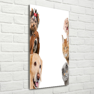 Tableau acrylique Chiens et chats