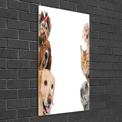 Tableau acrylique Chiens et chats