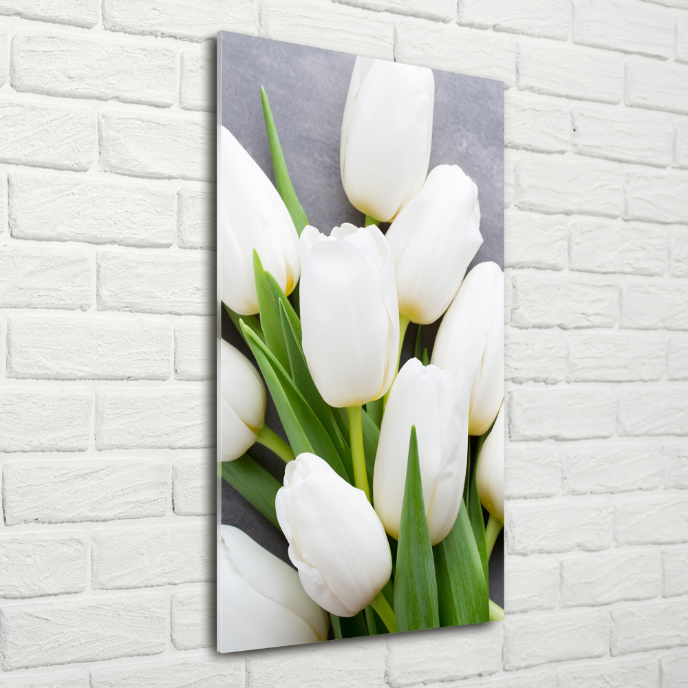 Tableau acrylique Tulipes blanches plantes