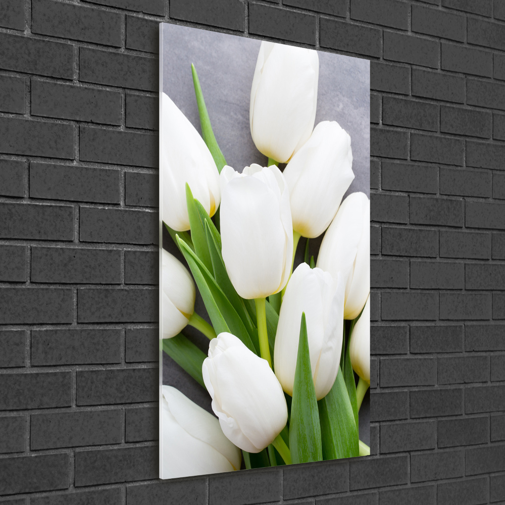 Tableau acrylique Tulipes blanches plantes