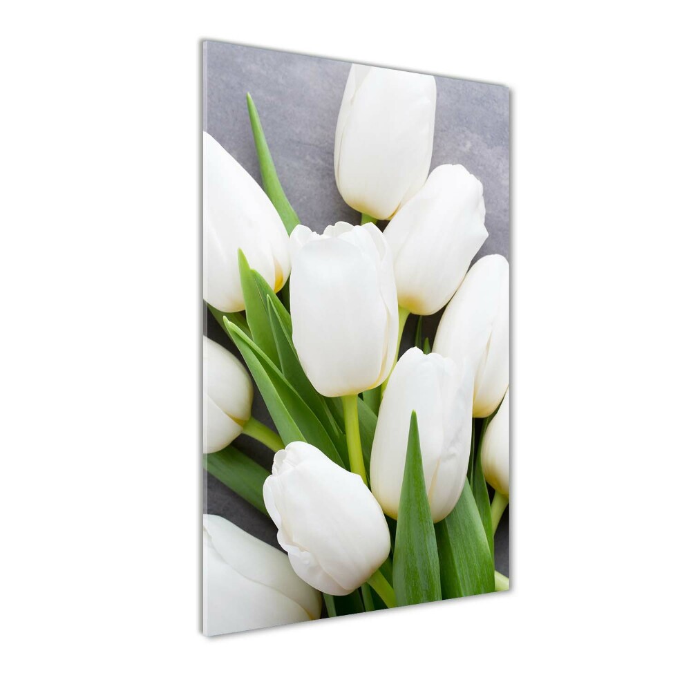 Tableau acrylique Tulipes blanches plantes