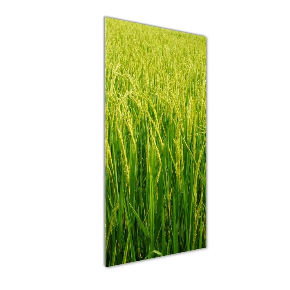 Acrylique tableau Plantation de riz