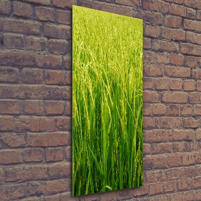 Acrylique tableau Plantation de riz